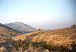 Kaktus 92.Túnel La Cañada.jpg